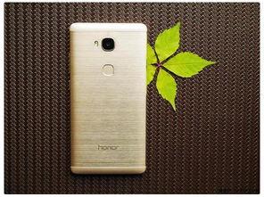 999国产,揭秘神秘国度的奇幻之旅